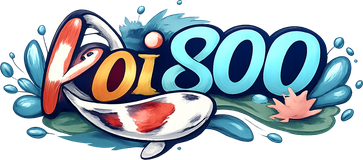 koi800